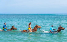 Ellis Tours & Transfers Jamaica6