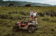 Ellis Tours & Transfers Jamaica1