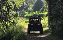 Ellis Tours & Transfers Jamaica4