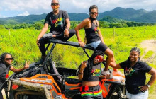 Ellis Tours & Transfers Jamaica5