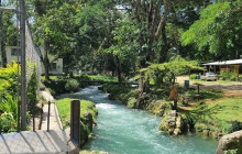 Ellis Tours & Transfers Jamaica6