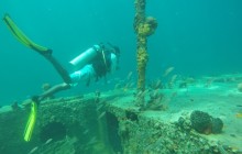 The Wreck - 2 Dives
