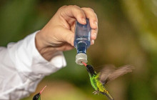 Ellis Tours & Transfers Jamaica1