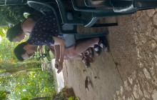 Ellis Tours & Transfers Jamaica18