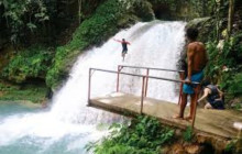 Ellis Tours & Transfers Jamaica4