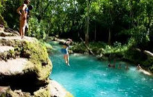 Ellis Tours & Transfers Jamaica5