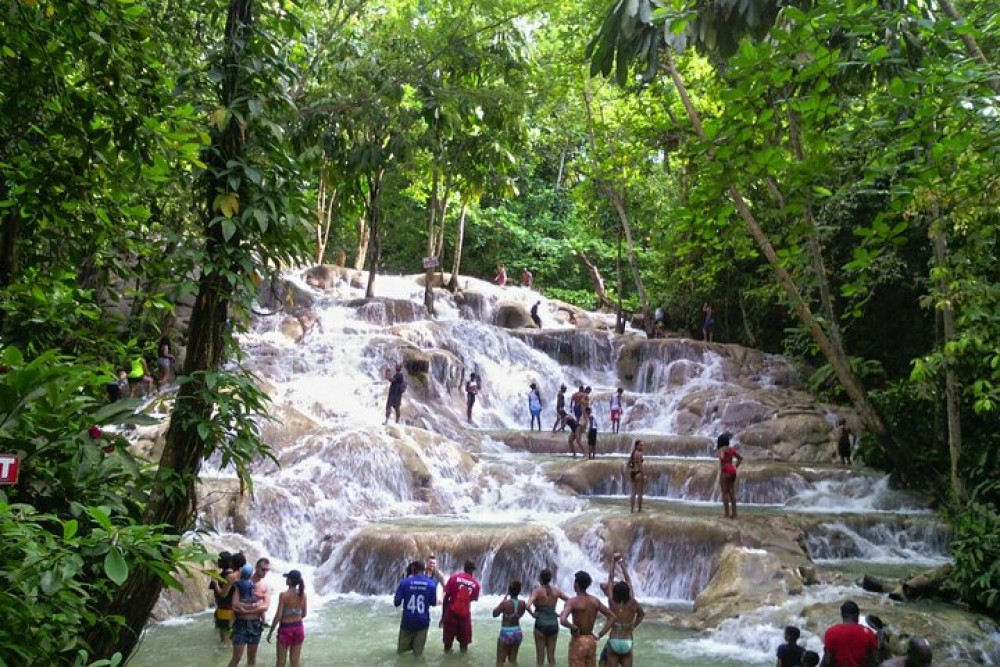From Montego Bay: Dunn's River Falls Tour