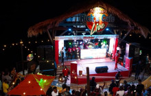 Ellis Tours & Transfers Jamaica8