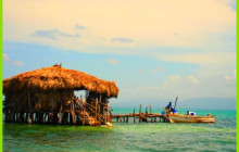 Ellis Tours & Transfers Jamaica2