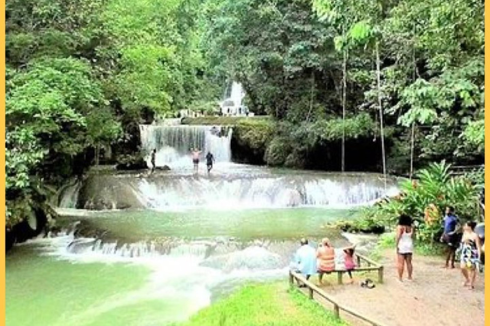 Excursion: YS Falls , Black River Safari and Floyd's Pelican Bar