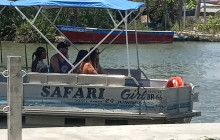 Ellis Tours & Transfers Jamaica7