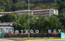 Ellis Tours & Transfers Jamaica7