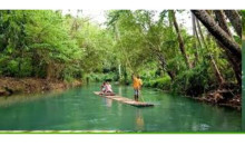 Ellis Tours & Transfers Jamaica6