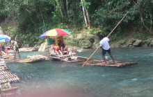 Ellis Tours & Transfers Jamaica12
