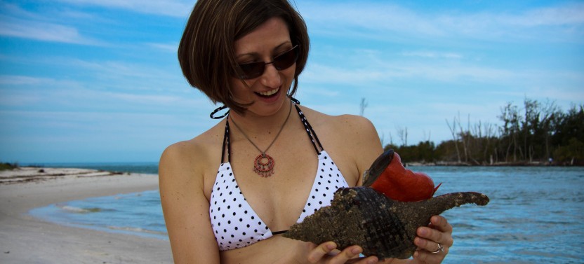 Coastal Sealife, Shelling, and Dolphin Cruise