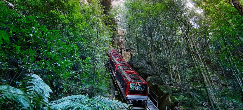 Blue Mountain Experience