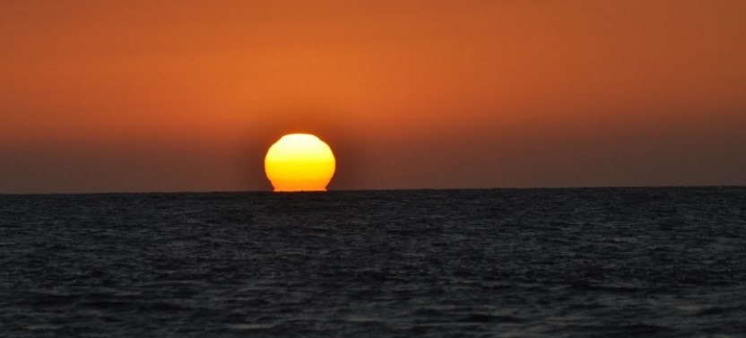 Sunset Dolphin Cruise Fort Myers Beach Tour