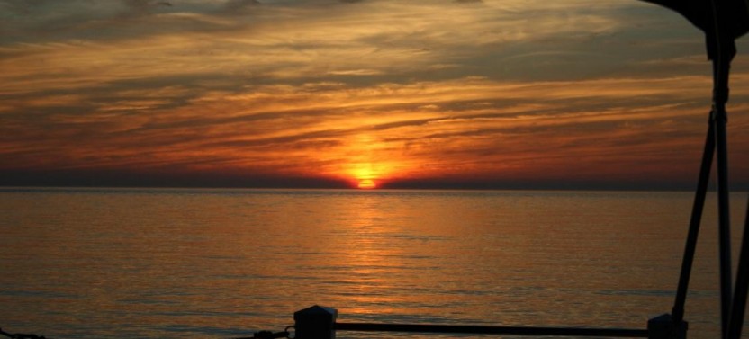 Sunset Dolphin Cruise Fort Myers Beach Tour