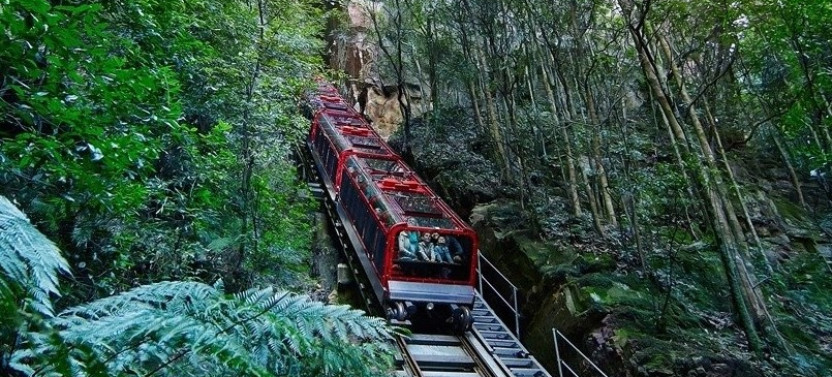 Blue Mountain Experience-Mandarin