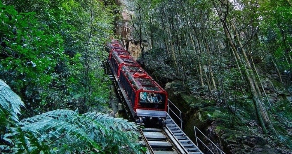 Blue Mountain Experience-Mandarin