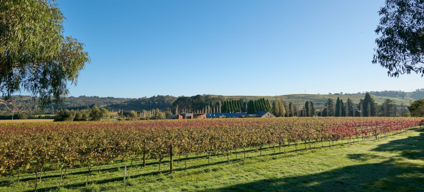 Hunter Valley Day Tour Experience
