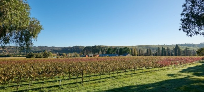 Hunter Valley Day Tour Experience - Mandarin Speaking