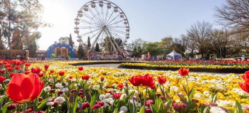 Canberra One Day Tour