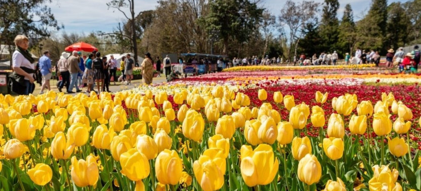 Canberra One Day Tour