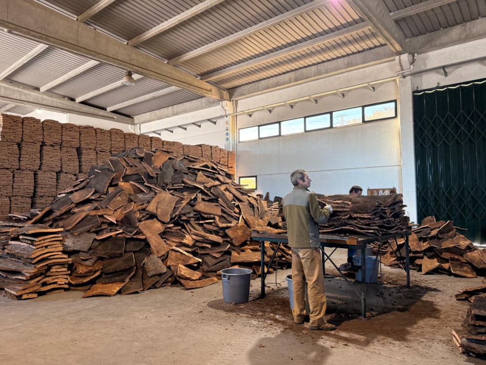 Évora Uncovered: A Private Tour of Cork, Culture & Fine Wines