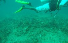 Polo Beach: 2 Dives