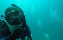 Punta Manglar: 2 Dives