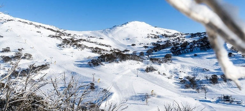1 Day Perisher Snow Tour