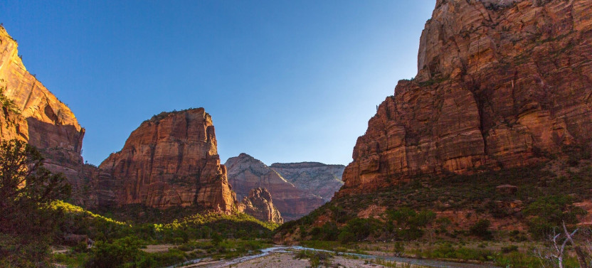 Zion National Park Half Day Tour