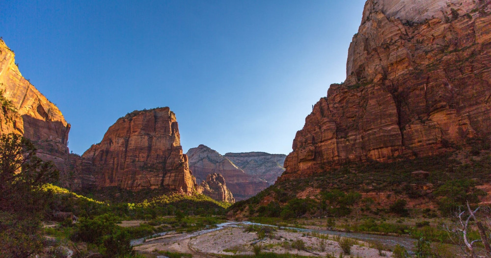 Zion National Park Half Day Tour