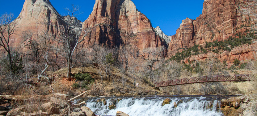 Zion National Park Half Day Tour