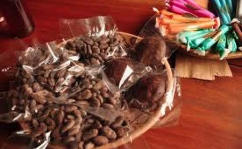 Shore Excursion: Chocolate Tour & Waterfall Adventure