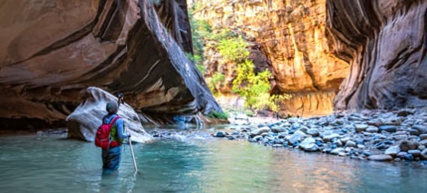 Zion Narrows Full Day Tour