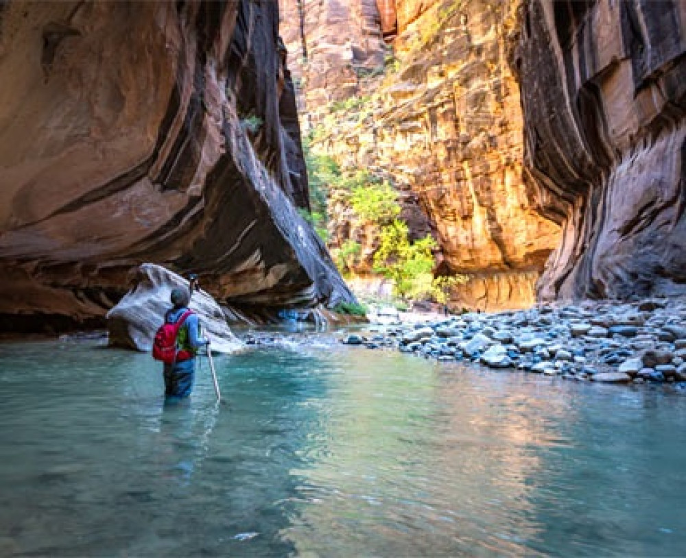 Zion Narrows Full Day Tour