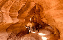 Grand Circle Tours1