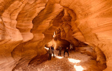 Grand Circle Tours1