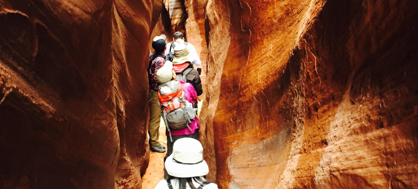Buckskin Gulch Tour Wire Pass