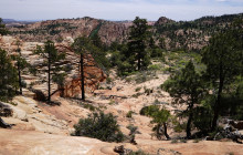 Grand Circle Tours2