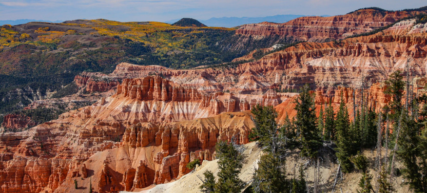 Cedar Mountain and Markagunt Plateau Tour