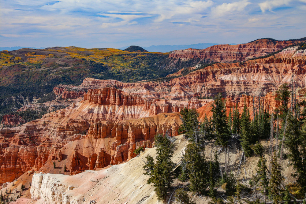 Cedar Mountain and Markagunt Plateau Tour