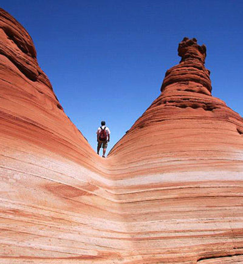 Tee Pees Tour