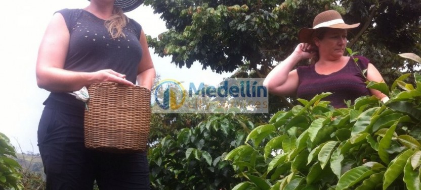 Private Coffee Tour To Jardin