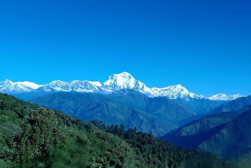 4 Day Standard Ghorepani Poon Hill Trek