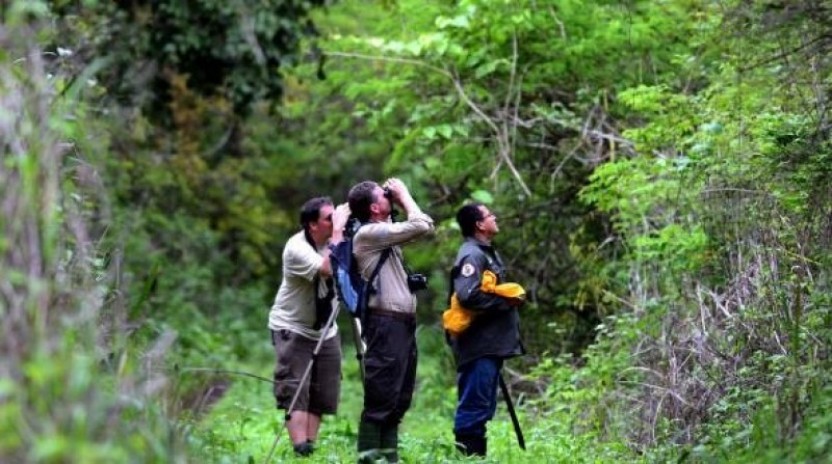 Birdwatching in Cerro Blanco from Guayaquil