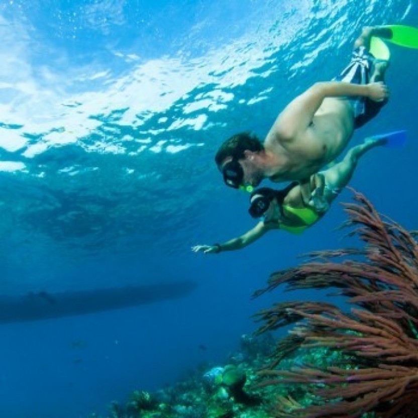 Emerald Reef Snorkelling