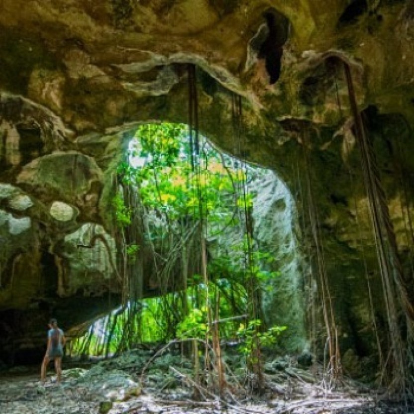 Discover Tour and Treasure Expedition